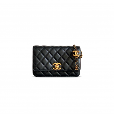CHANEL WALLET ON CHAIN AP3938 (19.5*12*3.5cm) CHANEL WALLET ON CHAIN AP3938 (19.5*12*3.5cm)